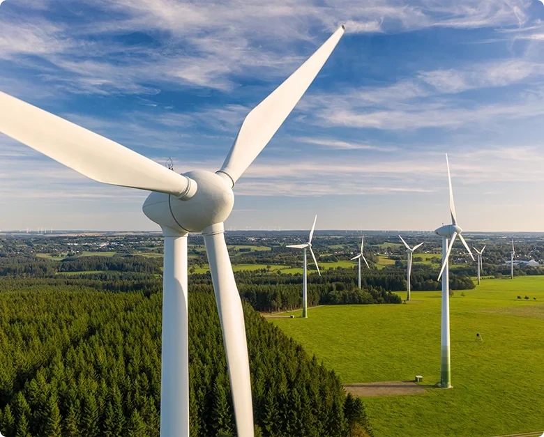 Diana Gallego Ingeniería