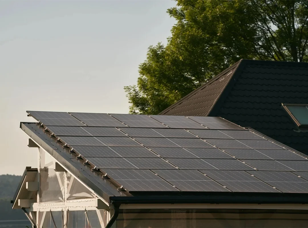 Diana Gallego Ingeniería